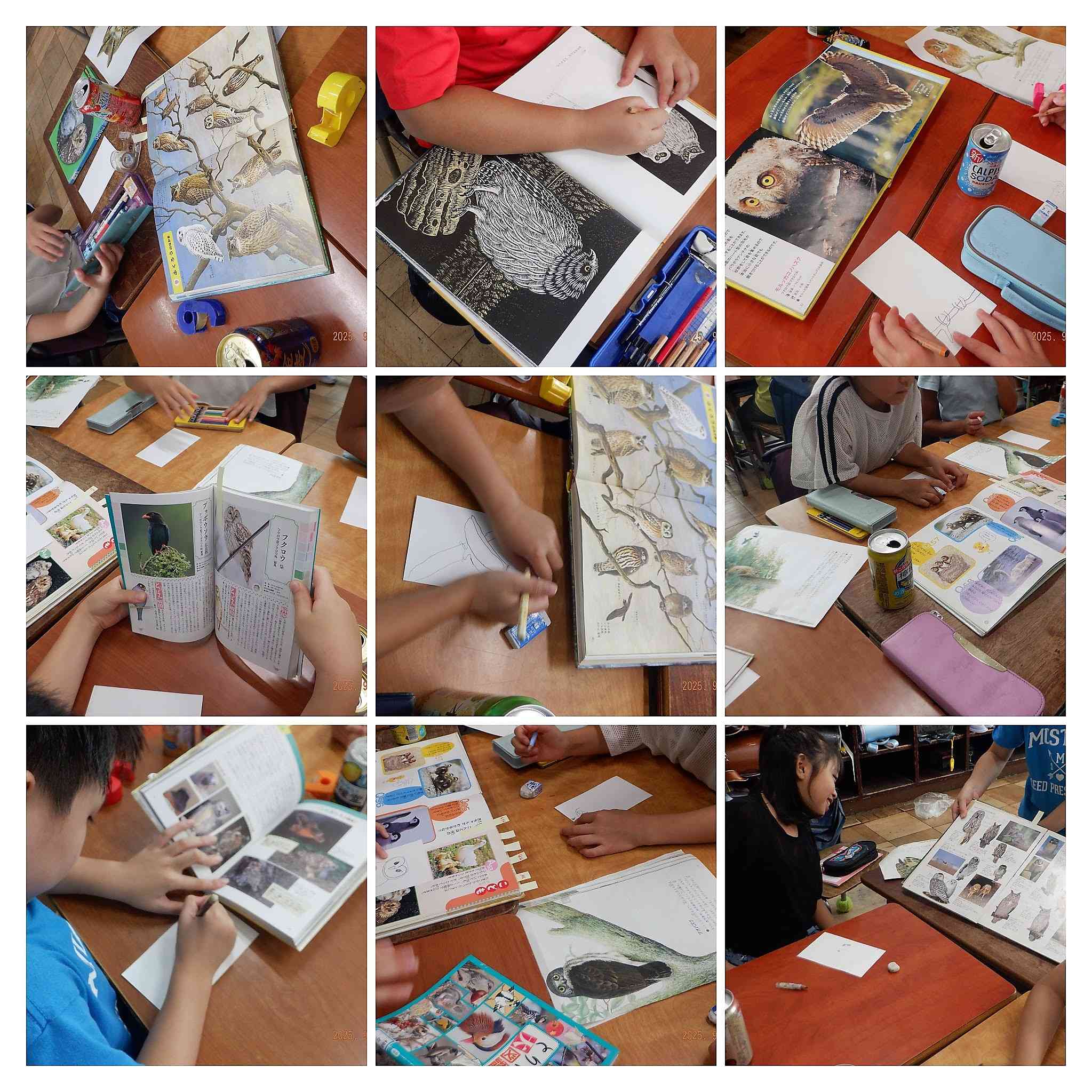 DSCF3738-COLLAGE